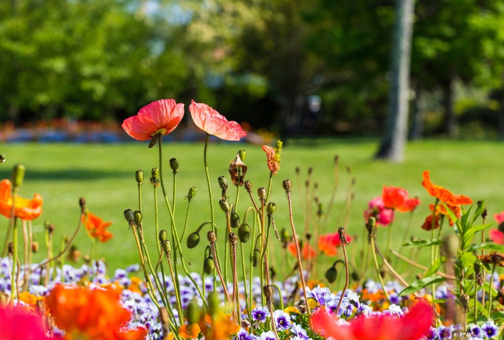 Plus De 70 Visites De Parcs Et Jardins Du 31 Mai Au 2 Juin En Gironde