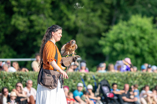 Spectacle de fauconnerie au festival médiéval sud gironde