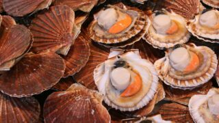 Bordeaux accueille la coquille Saint-Jacques pour deux jours de dégustations gratuites