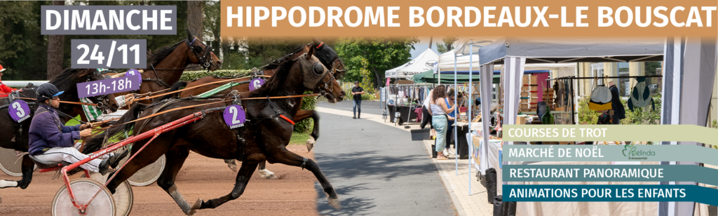 Venez assister ce dimanche à des courses hippiques au Bouscat !