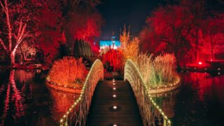 Des lumières féeriques prennent place dans un parc à Bordeaux