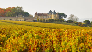 Un village proche de Bordeaux produit le vin blanc le plus prestigieux du monde